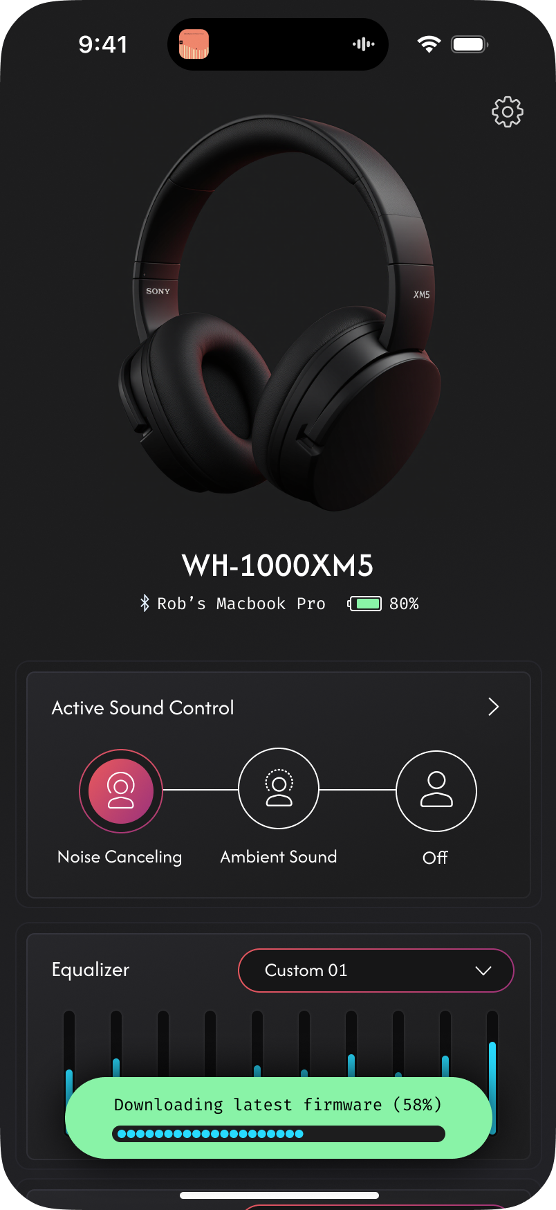 Firmware Update In Progress