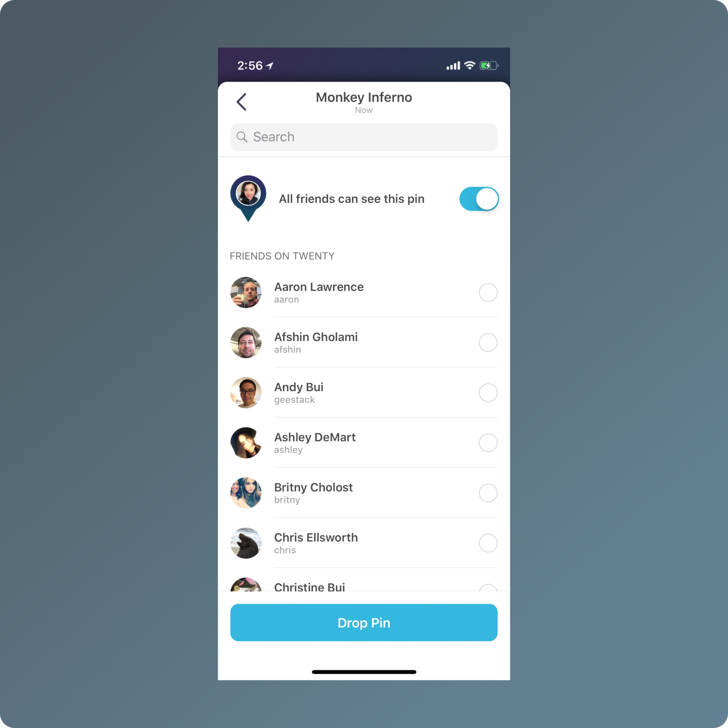 screenshot of visual design work